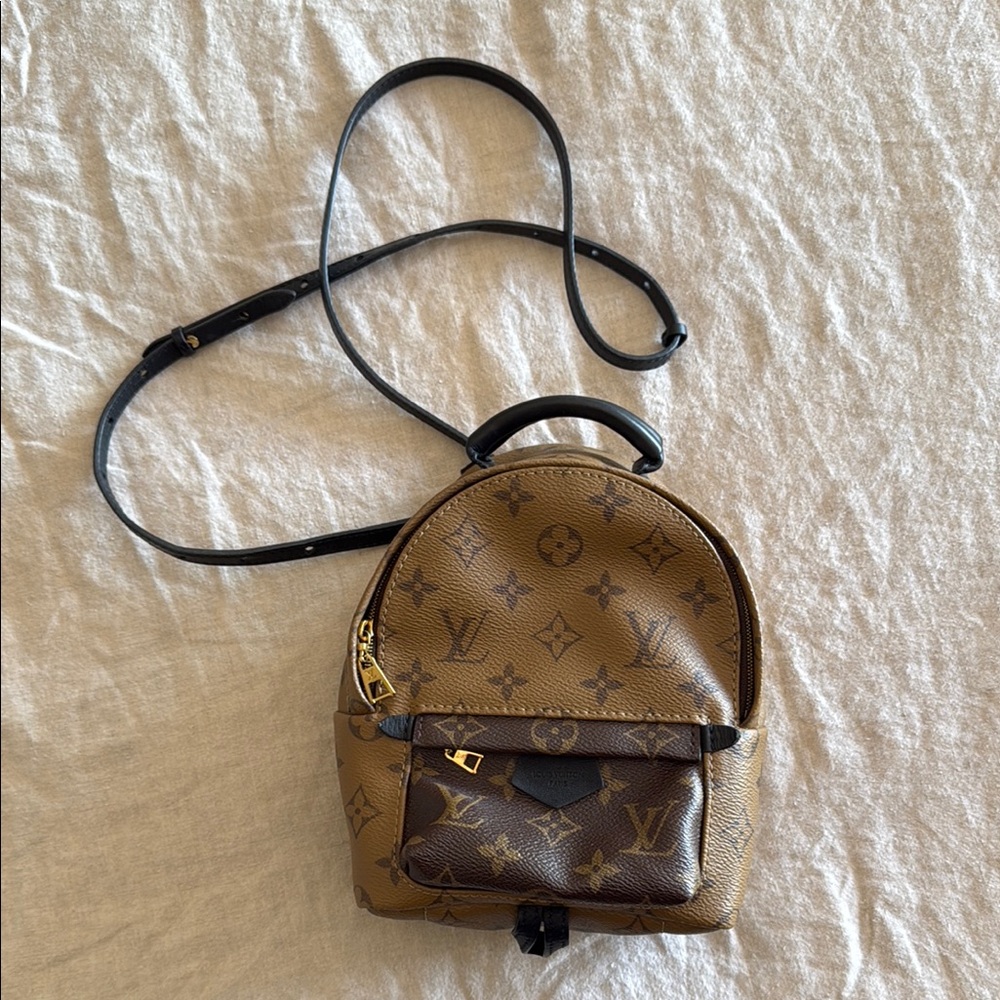Louis Vuitton Palm Springs mini backpack